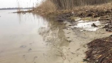 Kumsal, gün batımında kuru yapraklarla kapanıyor.