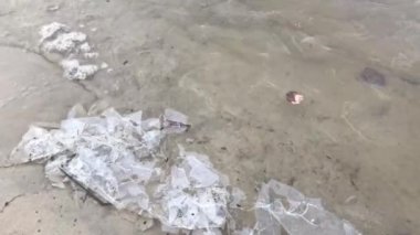 Dnipro nehrinde ince buzlar eriyor.