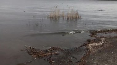 Ukrayna 'daki Dnipro nehrinde su baskını