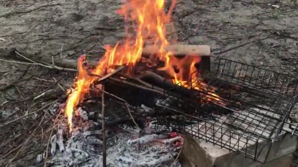 Bon Fire Zbliżenie Lesie Przygotowuje Się Grillowania Żywności — Wideo stockowe