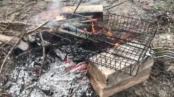 森林里准备烧烤食物的篝火特写 — 图库视频影像