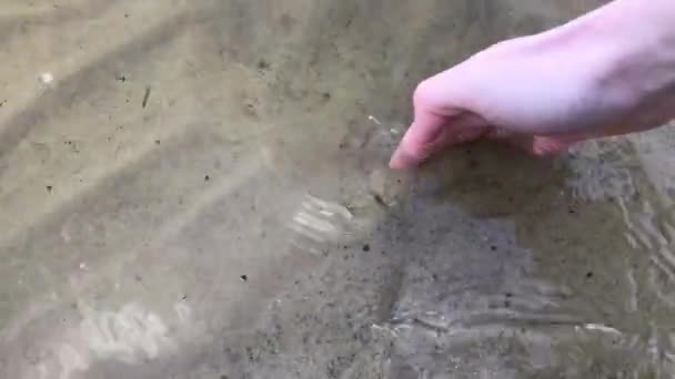 手摸海浪中的沙子 — 图库视频影像