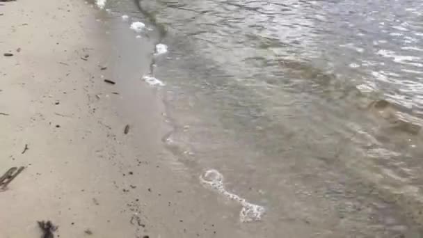 Piaszczyste Dno Morza Dźwiękiem Małych Fal — Wideo stockowe