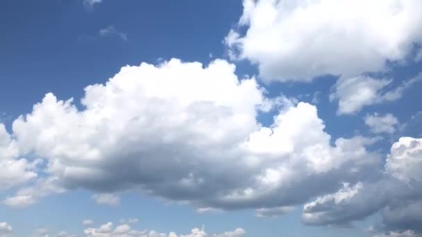 Cumulus Clouds Blue Sky Background Time Lapse — Stock Video