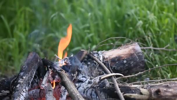 Campfire Closeup Πράσινο Φόντο — Αρχείο Βίντεο