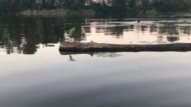 Dnipro nehri Ukrayna 'da yaz mevsiminde kanodan akşam manzaralı.