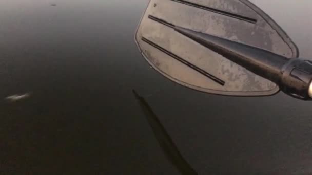 Μαύρο Κουπί Αγγίζοντας Νερό Closeup — Αρχείο Βίντεο