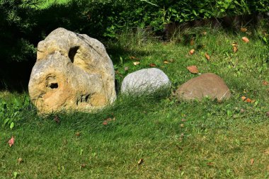 Güneşli yaz gününde yeşil çimlerde yumuşak taşlar
