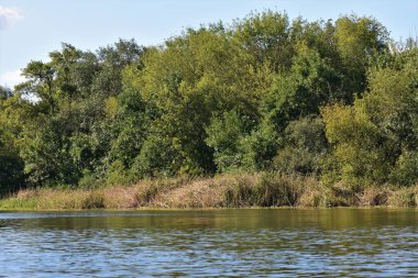 Vahşi Ukrayna doğası, Dnipro nehri ve ormanı üzerindeki bulutlar