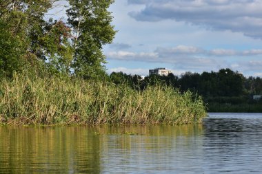 Vahşi Ukrayna doğası, Dnipro nehri ve ormanı üzerindeki bulutlar