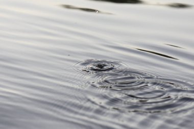 Düşen damlalardan sonra daireler çizerek nehir yüzeyi 