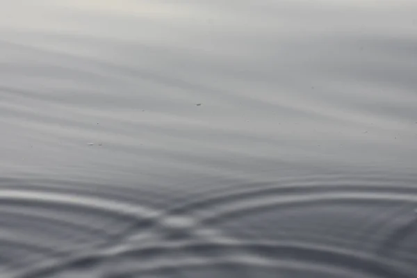 落ちた滴の後の円が付いている川の表面 — ストック写真