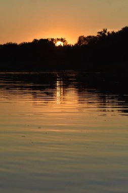 Orman gün batımında gölün üzerinde