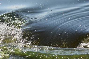 Yeşil nehir suyunda siyah kürek üstüne su sıçrıyor.