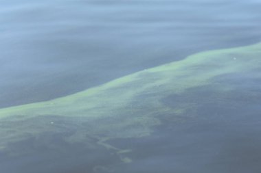 Yeşil Dnipro nehir suları kapanıyor