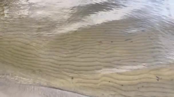 Sandboden Des Sauberen Flusses Dnipro Nahaufnahme — Stockvideo
