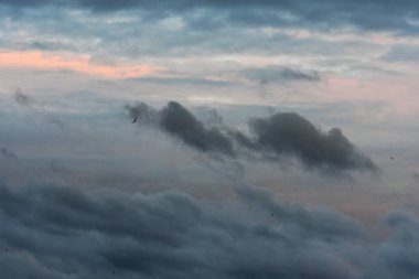 Bulutlar, Günbatımında Renkli Bulutlar Okyanus kenarında Kuşlarla