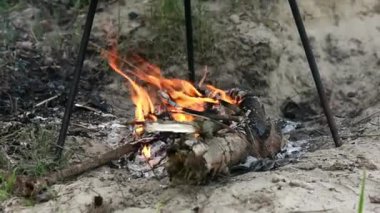 Ormanda şenlik ateşinde kızartma tavası yakın plan.