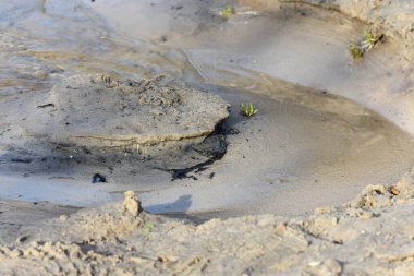 Kumsalda el yapımı kumdan kale