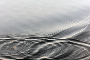 Su yüzeyine su damlaları düşer