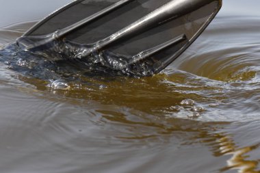 Sudaki siyah kürek. Yaklaş.