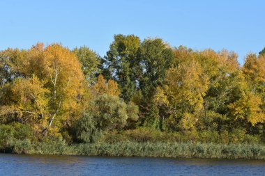 Gölün sonbahar renkleri