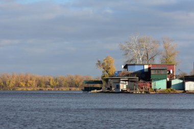 Sonbahar ağaçları ve sazlıklar güneşli bir günde gölde.