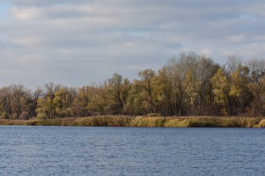 Sonbahar ağaçları ve sazlıklar güneşli bir günde gölde.