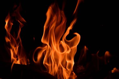 Fire flames on a black background. Burning firewood in the fireplace, close-up clipart