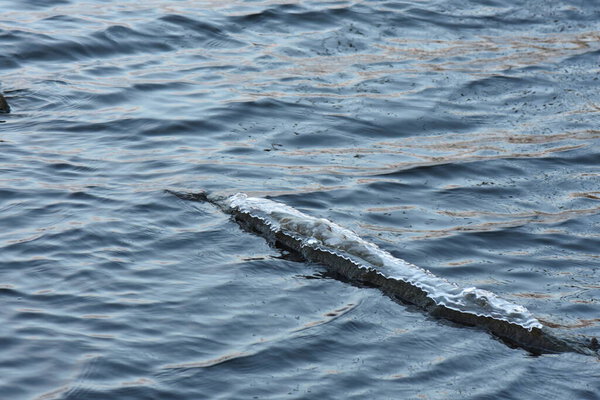 Замерзшее дерево со льдом в воде на фоне озера