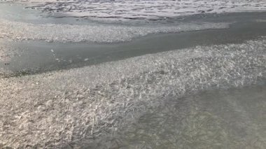 Güneşli bir günde buz dokusu, donmuş göl.