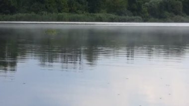 Yaz mevsiminde yağmur üstüne sis.