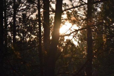 Bulutlu gün batımı gökyüzü. Bulutlu güzel gün batımı gökyüzü. Gökyüzü arkaplanı