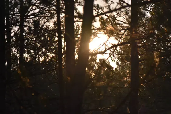 Bulutlu gün batımı gökyüzü. Bulutlu güzel gün batımı gökyüzü. Gökyüzü arkaplanı