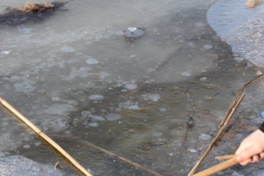 Nehirdeki buz ilkbaharın başlarında kapanıyor.