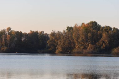 Göldeki ormanın üzerinde altın gün batımı gökyüzü