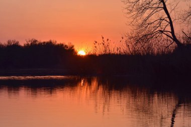 Nehirde gün batımı ön planda söğütler ve suda yansıma