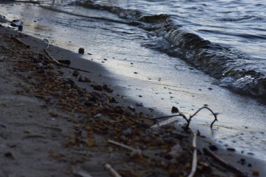 Dinyeper Nehri kıyısında dalgalar