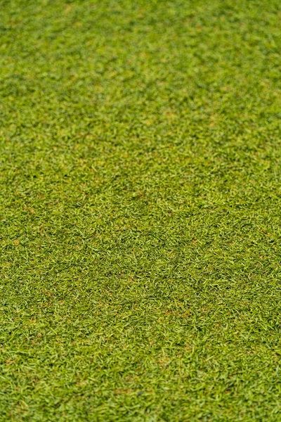 Background Texture Used Artificial Grass Central Part Focused Upper Lower — Stock Photo, Image