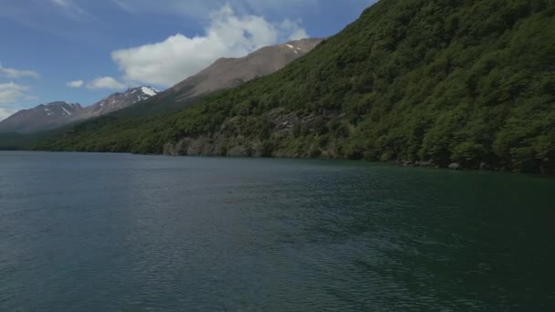 Függőleges Videó Egy Tóról Andok Patagóniájában Nyaralási Koncepció Dél Amerikában — Stock videók