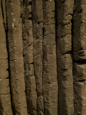 Huasca de Ocampo 'daki bazaltik prizmalar. Ekoloji konsepti. Jeolojik oluşumlar.