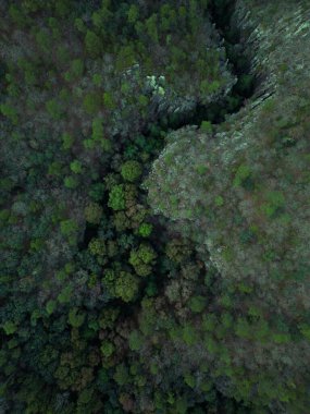 Huasca de Ocampo 'daki bazaltik prizmalar. Ekoloji konsepti. Jeolojik oluşumlar.