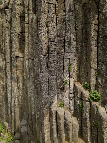 Basaltic Πρίσματα Στο Huasca Ocampo Οικοτουρισμός Έννοια Γεωλογικοί Σχηματισμοί — Φωτογραφία Αρχείου