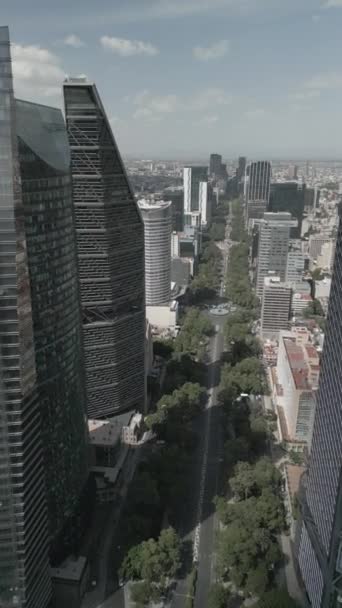墨西哥城的垂直空中录像 墨西哥城摩天大楼的垂直录像 从上面看 查普尔特佩克森林 改造大道和摩天大楼 墨西哥城的城市概念 — 图库视频影像