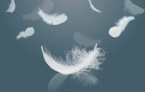 Abstraktní Bílé Ptačí Peří Padající Vzduchu Peří Reflexí Měkkost Letícího — Stock fotografie