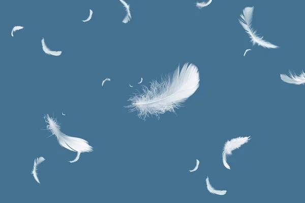 青色の背景に浮かぶ白い鳥の羽の抽象群 — ストック写真