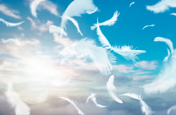 Grupo Abstrato Penas Pássaros Brancos Flutuando Céu Com Nuvens Levemente — Fotografia de Stock