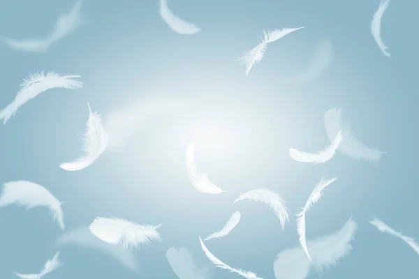 Abstrakcyjna Grupa Białych Ptaków Latających Niebie Pióra Unoszące Się Niebie — Zdjęcie stockowe
