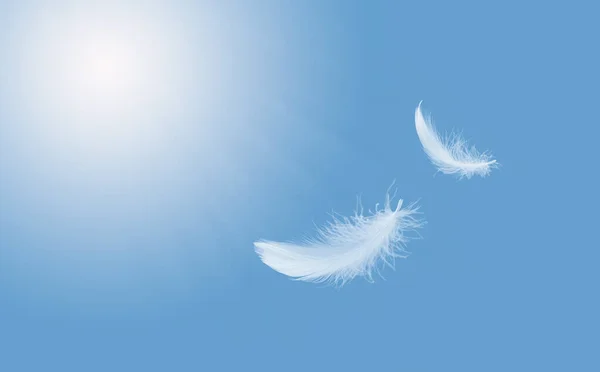 Suavidade Abstrata Pena Pássaro Branco Flutuando Céu Azul Penas Voando — Fotografia de Stock