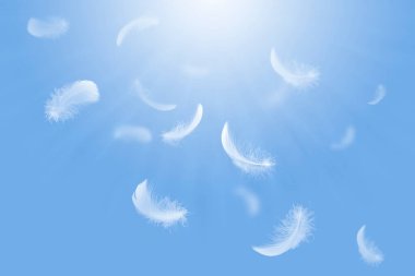 White Fluffy Feathers Floating in the Sky. Swan Feathers Flying in Heavenly.